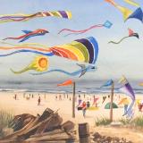 Go Fly a Kite